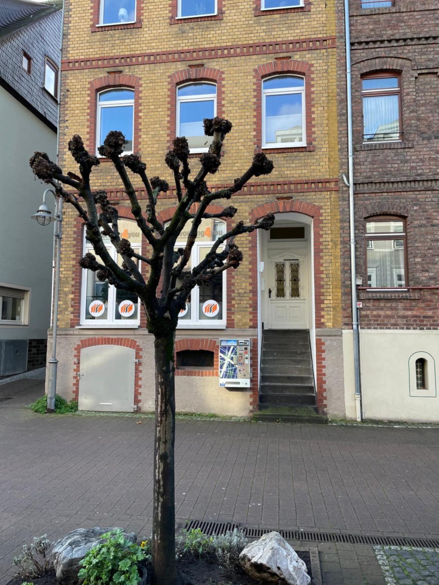 Apartment Good Times In St. Goar